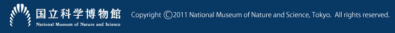 Copyright 2011 National Museum of Nature and Science, Tokyo.  All rights reserved.