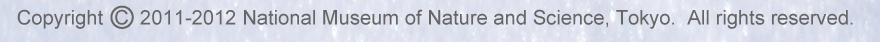 Copyright 2011-2012 National Museum of Nature and Science, Tokyo. all rights reserved.