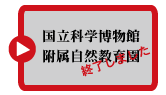 ȊwٕtR牀