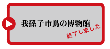 䑷qs̔