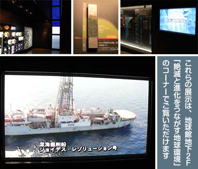 これらの展示は、地球館地下２F「絶滅と進化をうながす地球環境」のコーナーでご覧いただけます