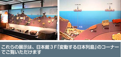 これらの展示は、日本館３F「変動する日本列島」のコーナーでご覧いただけます