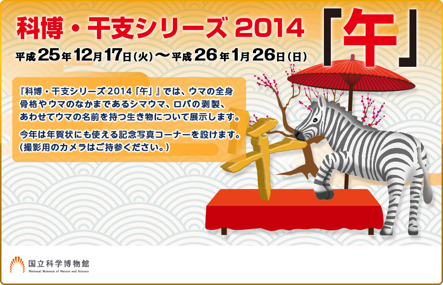 科博・干支シリーズ2014「午」年のお正月