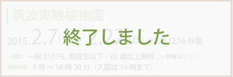 筑波実験植物園2013年2月5日～2月24日まで(2/12,18休園)入園料：一般300円高校生以下・65歳以上無料　開園時間：9時～16時30分(入園は16時まで)