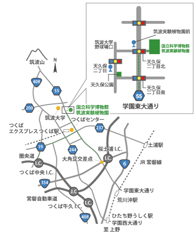 筑波地区地図