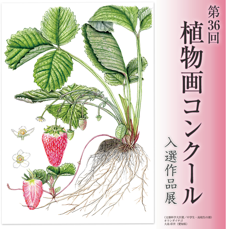 植物画コンクール入選作品展