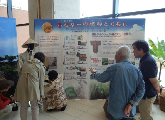 巡回展示「琉球の植物」に関する展示の様子