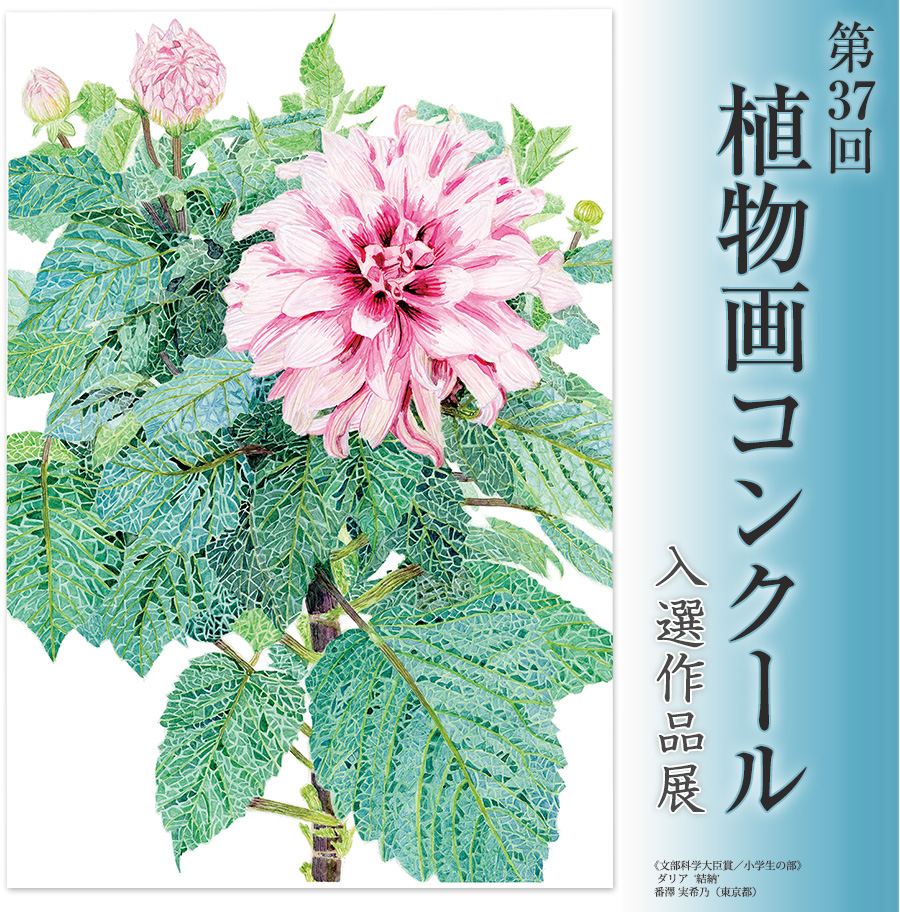 植物画コンクール入選作品展