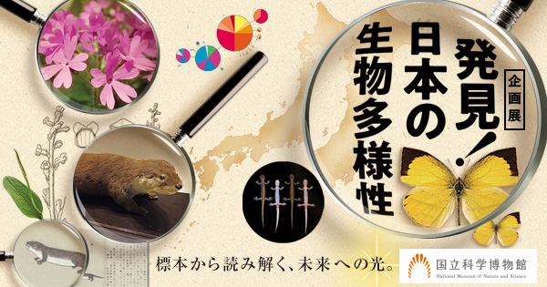 企画展「発見！日本の生物多様性 ～標本から読み解く、未来への