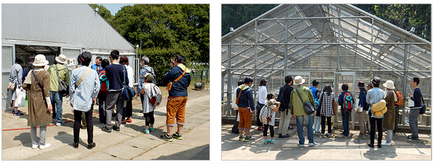 筑波実験植物園バックヤードツアー