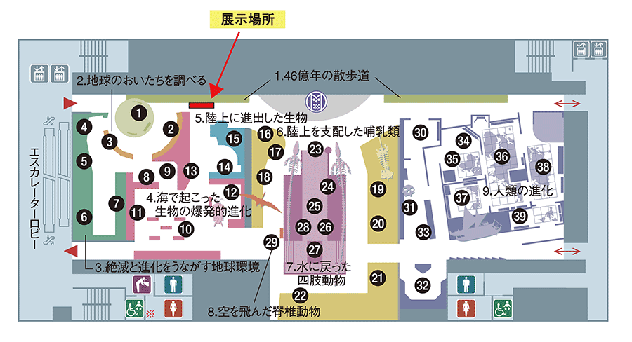 展示場所