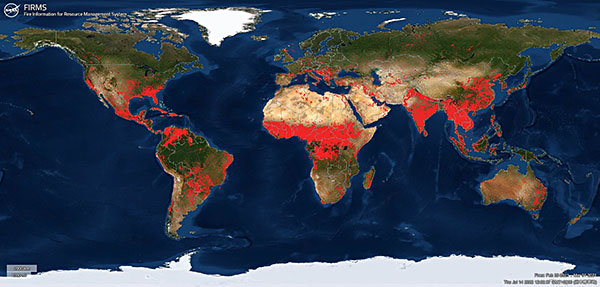 火災地図(FIRMS, 提供：NASA)