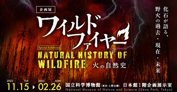 企画展 ワイルド ファイヤー 火の自然史 国立科学博物館 National Museum Of Nature And Science Tokyo