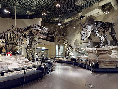 地球館B1F「ティラノサウルス・トリケラトプス」