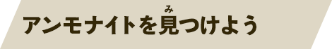 アンモナイトを見つけよう