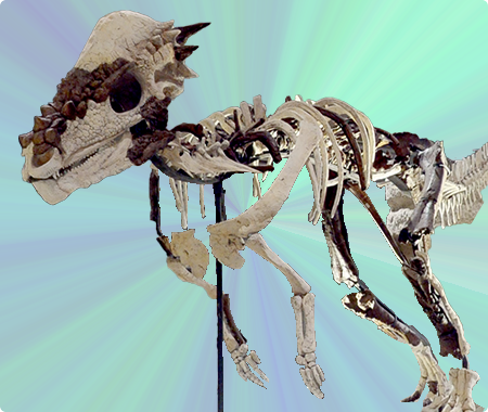 パキケファロサウルス