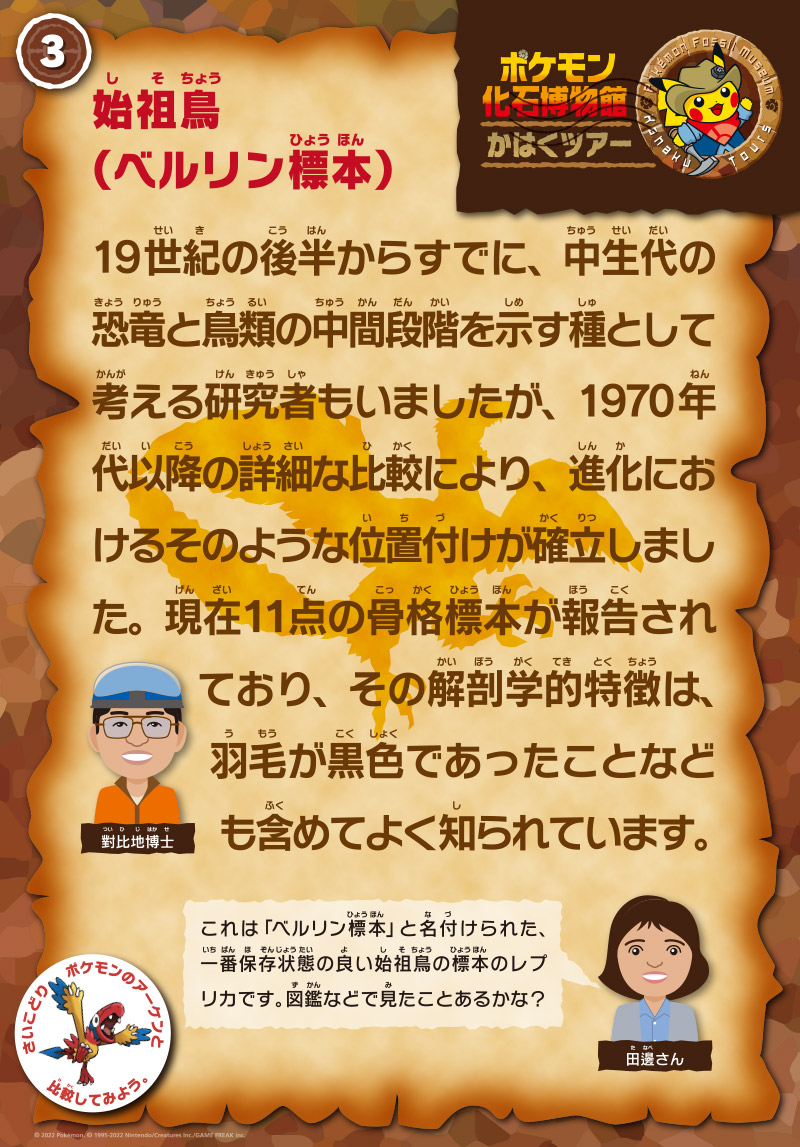 始祖鳥（ベルリン標本）の解説パネル。
              担当は對比地先生。「19世紀の後半からすでに、中生代の恐竜と鳥類の中間段階を示す種として考える研究者もいましたが、1970年代以降の詳細な比較により、進化におけるそのような位置付けが確立しました。現在１１点の骨格標本が報告されており、その骨解剖学的特徴は、羽毛が黒色であったことなども含めてよく知られています。」
              田邊さん「これは「ベルリン標本」と名付けられた、一番保存状態の良い始祖鳥の標本のレプリカです。図鑑などで見たことあるかな？」