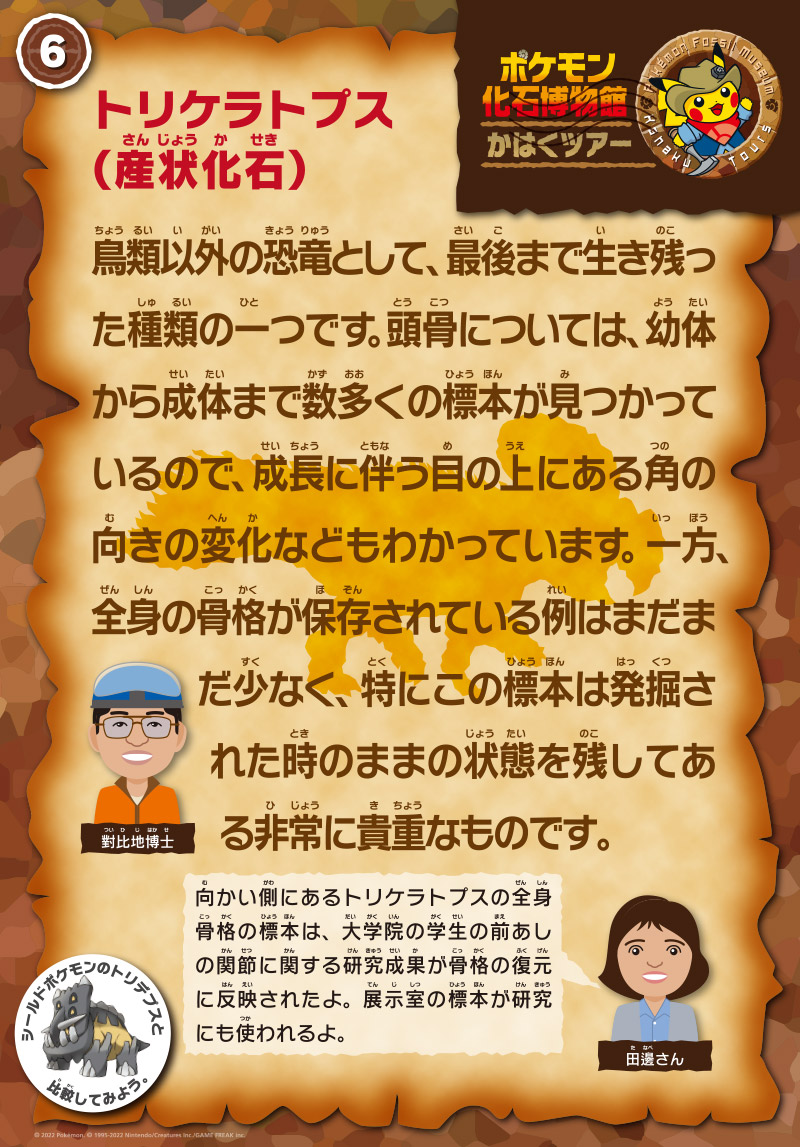 トリケラトプス（産状化石）の解説パネル。
                担当は對比地先生。「鳥類以外の恐竜として、最後まで生き残った種類の一つです。頭骨については、幼体から成体まで数多くの標本が見つかっているので、成長に伴う目の上にある角の向きの変化などもわかっています。一方、全身の骨格が保存されている例はまだまだ少なく、特にこの標本は発掘された時のままの状態を残してある非常に貴重なものです。」
                田邊さん「向かい側にあるトリケラトプスの全身骨格の標本は、大学院の学生の前あしの関節に関する研究成果が骨格の復元に反映されたよ。展示室の標本が研究にも使われるよ」