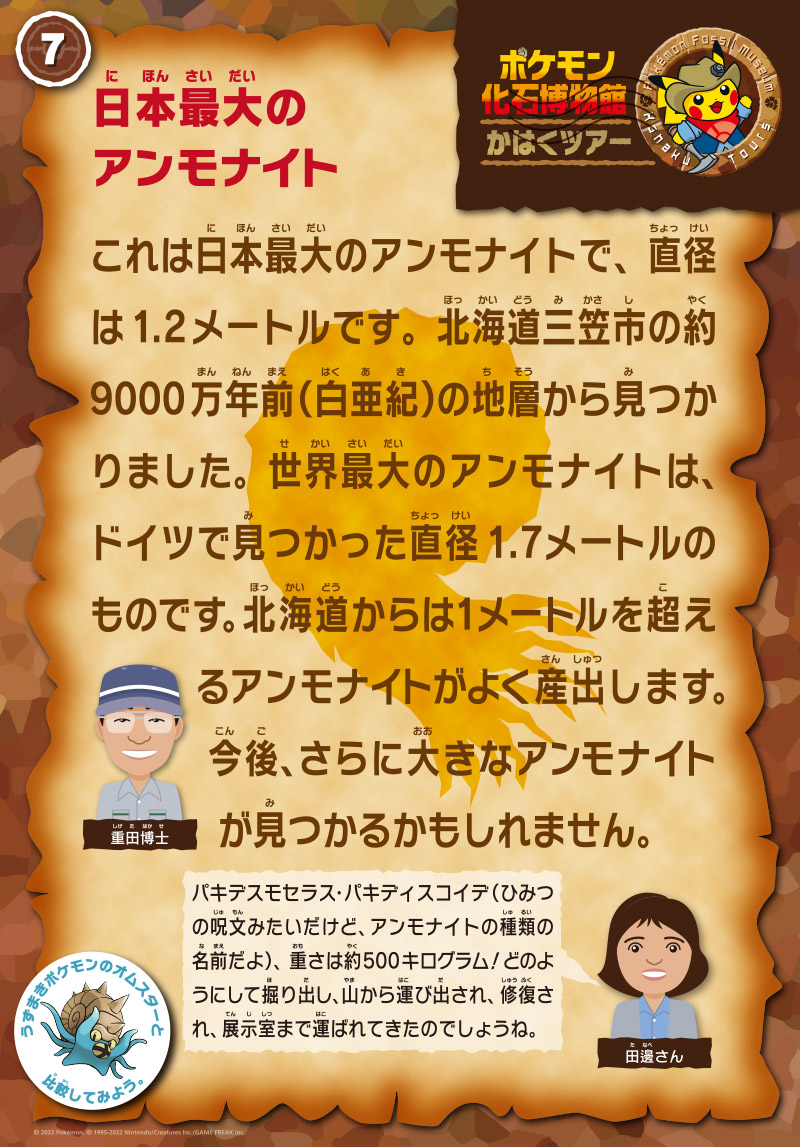 日本最大のアンモナイトの解説パネル。
            担当は重田先生。「これは日本最大のアンモナイトで、直径は1.2メートルです。北海道三笠市の約9000万年前（白亜紀）の地層から見つかりました。世界最大のアンモナイトは、ドイツで見つかった直径1.7メートルのものです。北海道からは1メートルを超えるアンモナイトがよく産出します。今後、さらに大きなアンモナイトが見つかるかもしれません。。」
            田邊さん「パキデスモセラス・パキディスコイデ（ひみつの呪文みたいだけど、アンモナイトの種類の名前だよ）、重さは約500キログラム！どのようにして掘り出し、山から運び出され、修復され、展示室まで運ばれてきたのでしょうね。この近くに解説があるので、読んでね。」