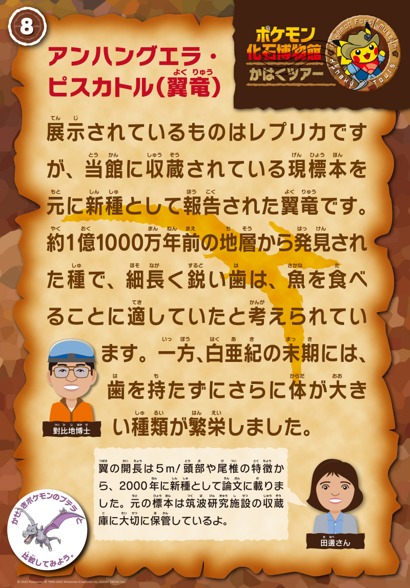 アンハングエラ・ピスカトル（翼竜）の解説パネル。
              担当は對比地先生。「展示されているものはレプリカですが、当館に収蔵されている現標本を元に新種として報告された翼竜です。約1億1000万年前の地層から発見された種で、細長く鋭い歯は、魚を食べることに適していたと考えられています。一方、白亜紀の末期には、歯を持たずにさらに体が大きい種類が繁栄しました。」
              田邊さん「翼の開長は５m！頭部や尾椎の特徴から、2000年に新種と論文に載りました。元の標本は筑波研究施設の収蔵庫に大切に保管しているよ。」