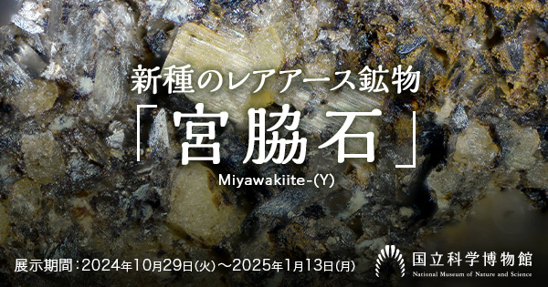 新種のレアアース鉱物「宮脇石」を展示します :: 国立科学博物館
