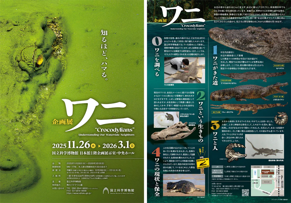 企画展「ワニ」