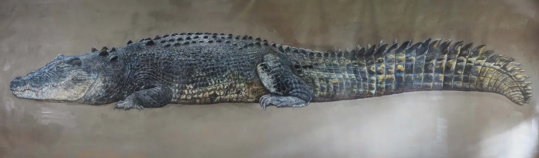 全長5m実物大イリエワニ油彩画（小田隆氏製作・所蔵）
