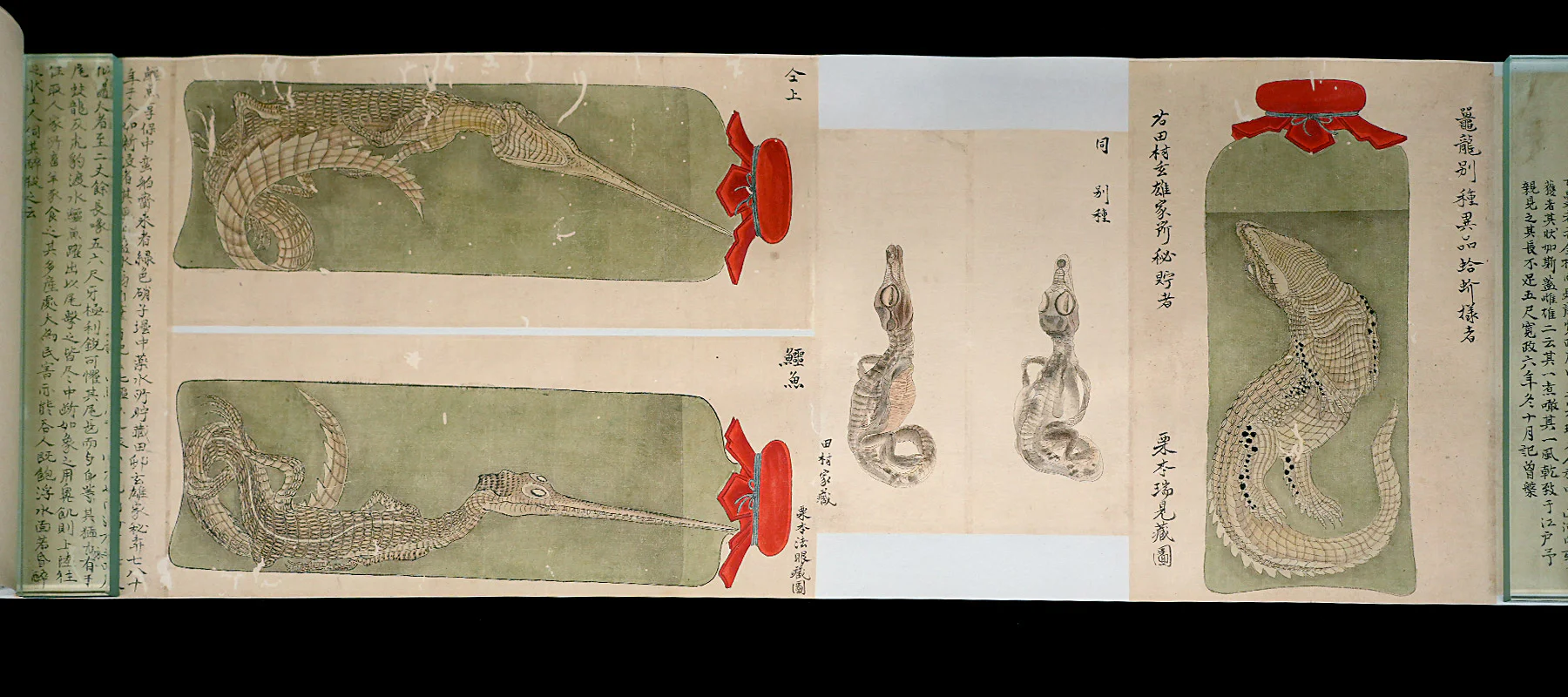 「龍絵巻物」第2回展示替え