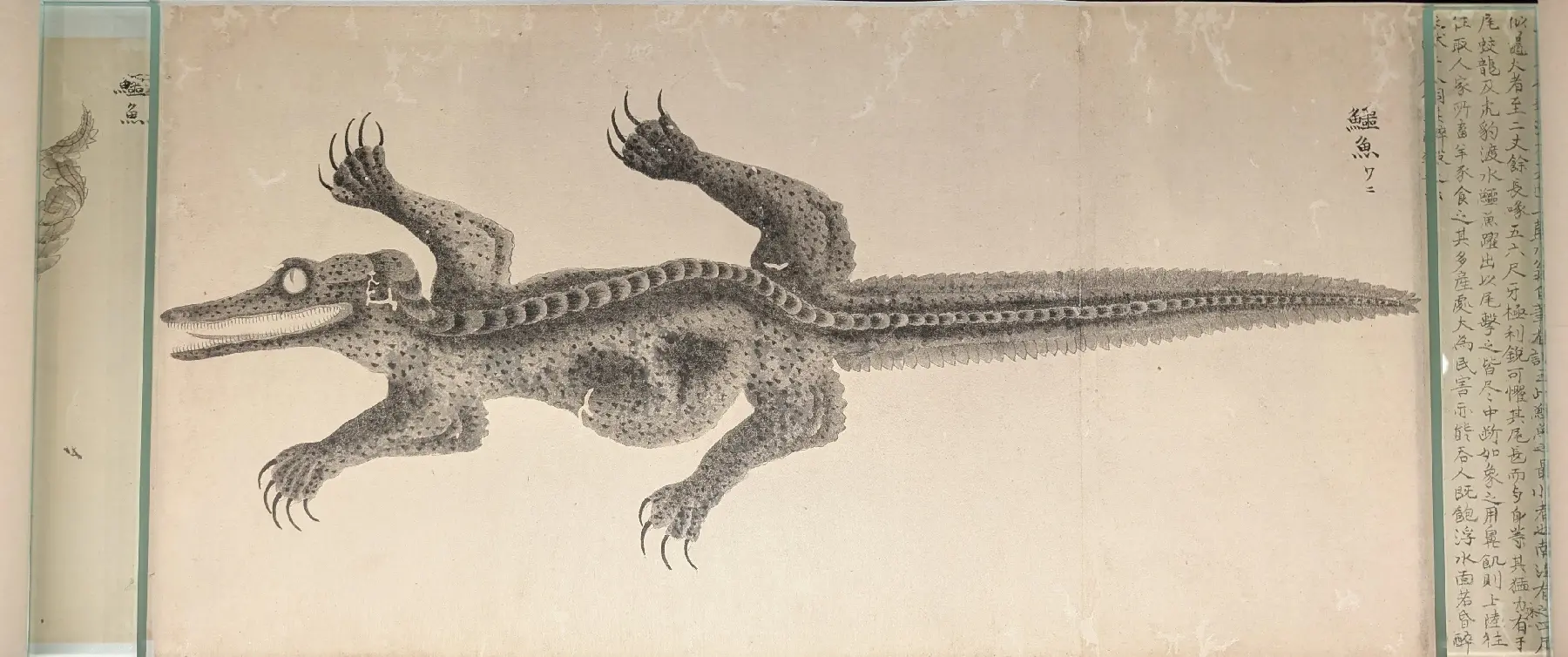 龍絵巻物(栗本丹洲)(所蔵:国立科学博物館)