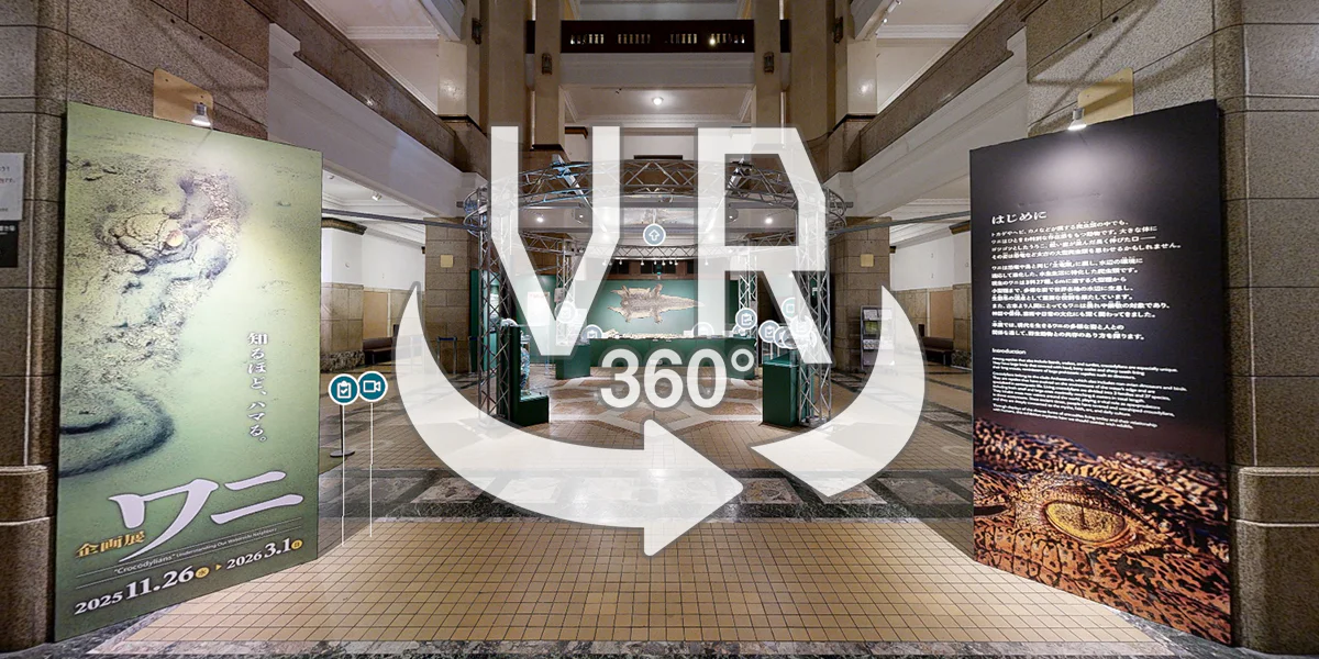 VR_ワニ