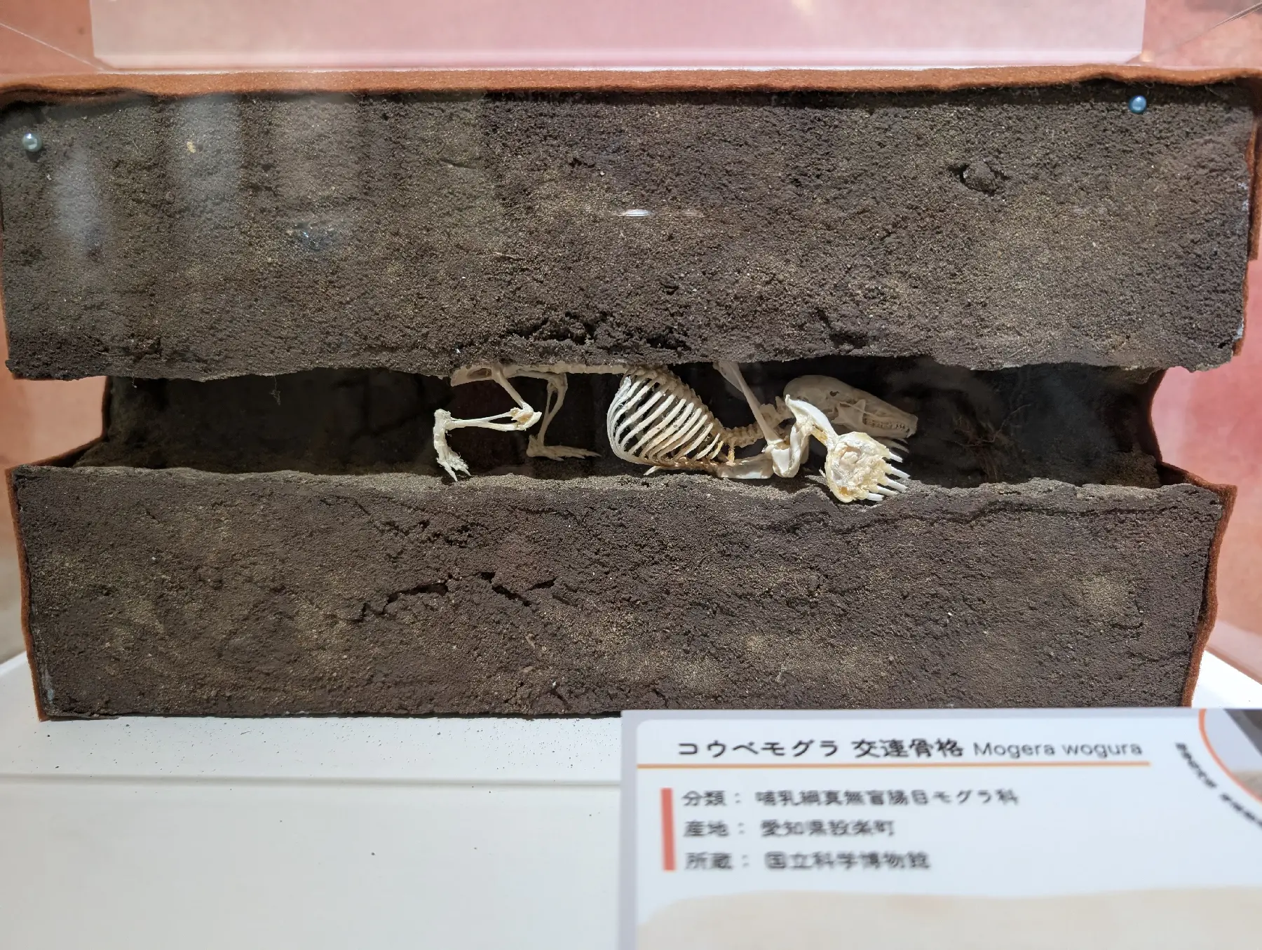 PXL_20260407_233226723