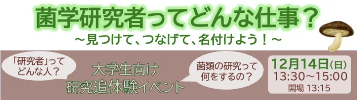 バナー_Aグループ