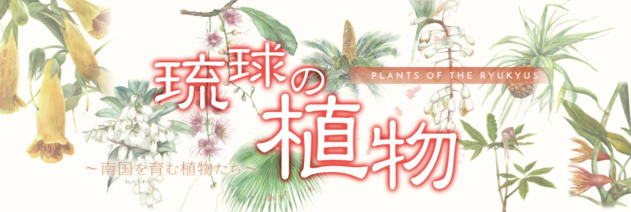 琉球の植物‐南国を育む植物たち‐