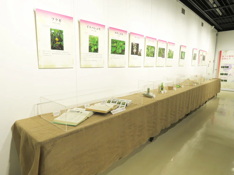 植物とひと－生物資源としての植物－