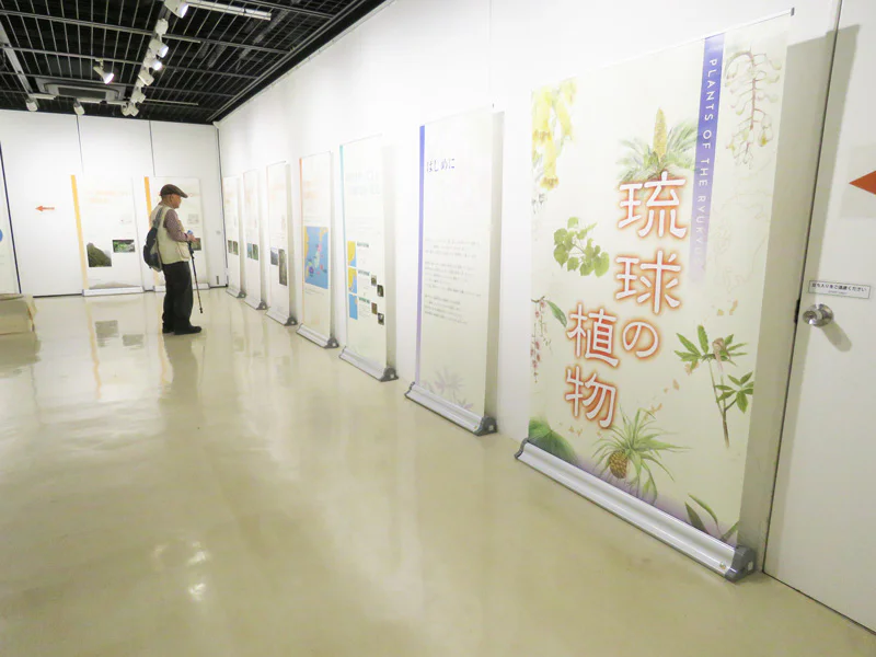 琉球の植物相はなぜ豊富？