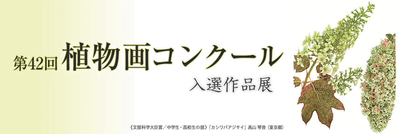 第42回植物画コンクール 入選作品展