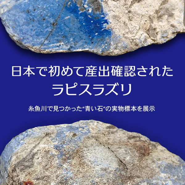 科博NEWS展示「日本で初めて産出確認されたラピスラズリ-糸魚川で
