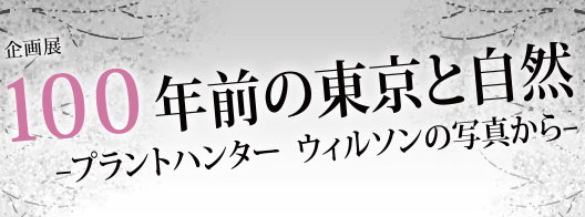 ï¼ï¼ï¼å¹´åã®æ±äº¬ã¨èªç¶ï¼ãã©ã³ããã³ã¿ã¼ãã¦ã£ã«ã½ã³ã®åçããï¼