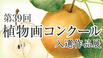 第39回植物画コンクール入選作品展