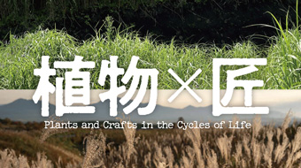 <span>国立科学博物館・竹中大工道具館共同企画展</span>「植物×匠　めぐるいのち、つなぐ手しごと」