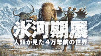 氷河期展 ～人類が見た4万年前の世界～<span>（外部サイト）</span>