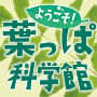 フィールドとつながる写真絵本展　ようこそ！葉っぱ科学館