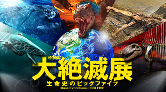 大絶滅展 ー 生命史のビッグファイブ<span>（外部サイト）</span>