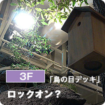 3F「鳥の目デッキ」ロックオン？