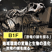 B1F「恐竜の謎を探る」地球環境の変動と生物の進化―恐竜の謎を探る―