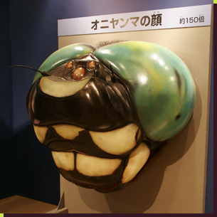 トンボの頭の巨大模型