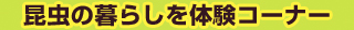 ̕炵̌R[i[