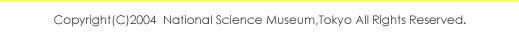 copyright(C)2004 The National Science Museum,Tokyo All RIghts Reserved.