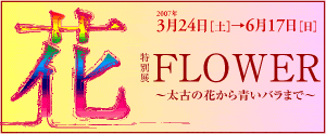 ԁ@FLOWER@`ẨԂo܂Ł` 2007N324iyj`617ij 