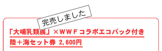 uMޓWv×WWFR{GRobNt{CZbg@2,600~@܂